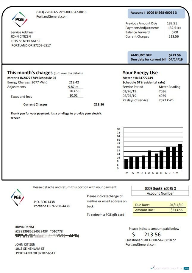 download download USA Oregon PGE electricity utility bill template in Word and PDF format PDF template PDF template